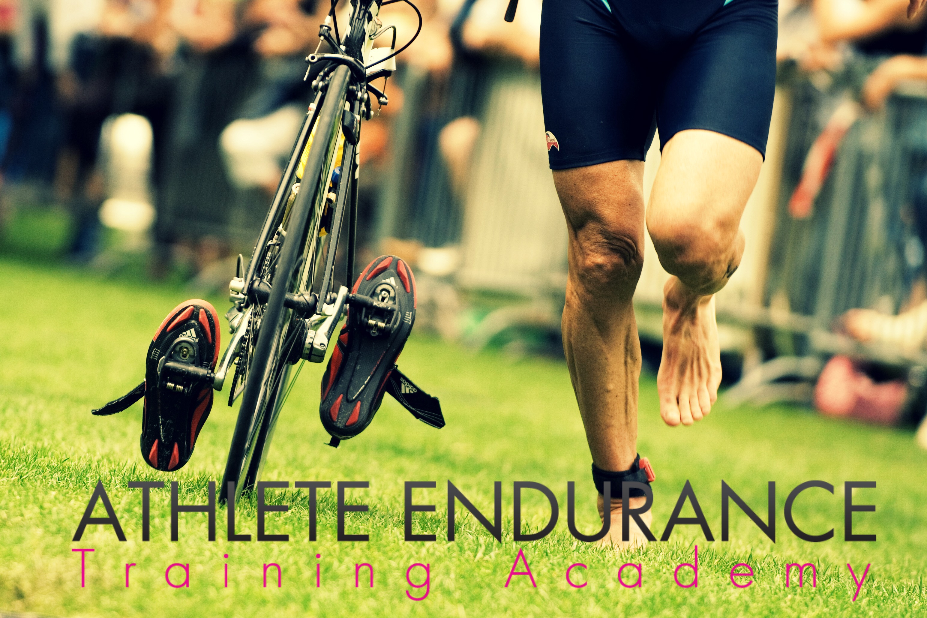 Athlete Endurance Training Academy Archives - Dayna Deters Determined ...